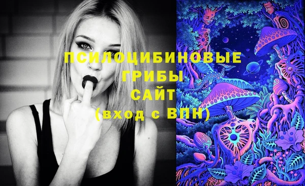 крисы Алзамай