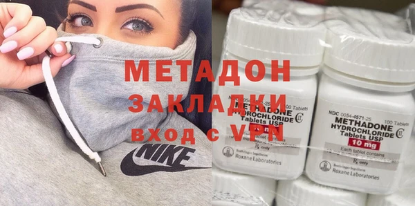 прущие грибы Аркадак