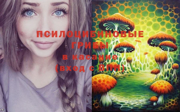 крисы Алзамай