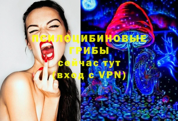 гидра Алексеевка