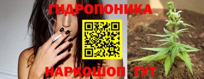мдма Гусев