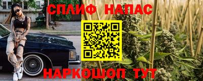 индика Гусиноозёрск