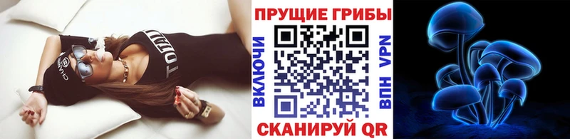 Псилоцибиновые грибы Magic Shrooms  закладки  Нурлат 